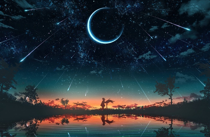 Anime girl and dog under crescent moon and meteor shower
