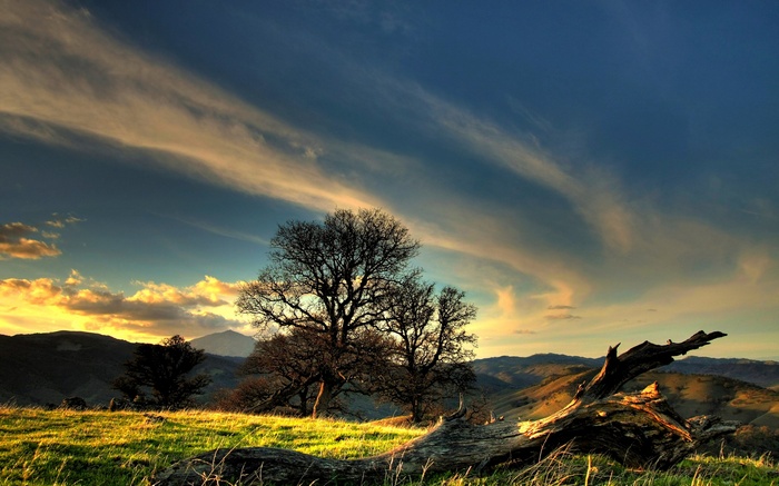 Sunset over rolling hills with trees and fallen log