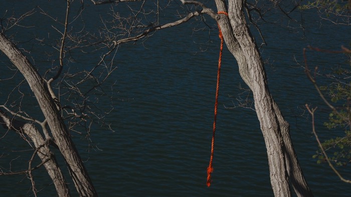 Rope swing hanging from a tree over dark water