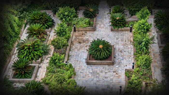 Courtyard garden with palm trees and stone pathways