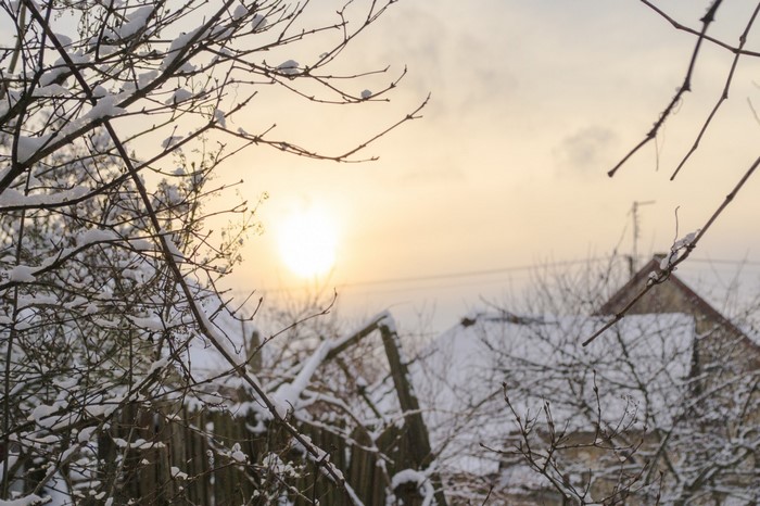 Winter sunrise over snow-covered houses and trees