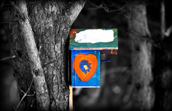 Bird box with heart painting on a tree