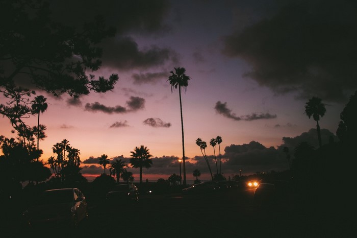 Palm trees at sunset with cars in a parking lot