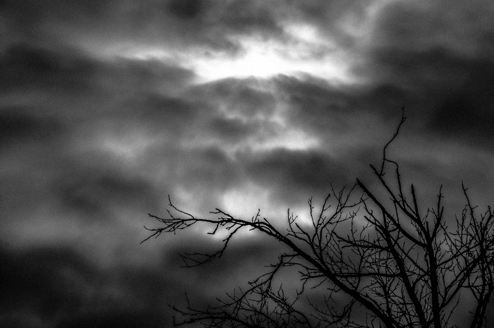 Monochrome image of a bare tree against a cloudy sky