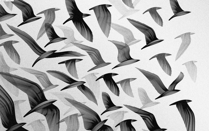 Monochrome illustration of birds in flight