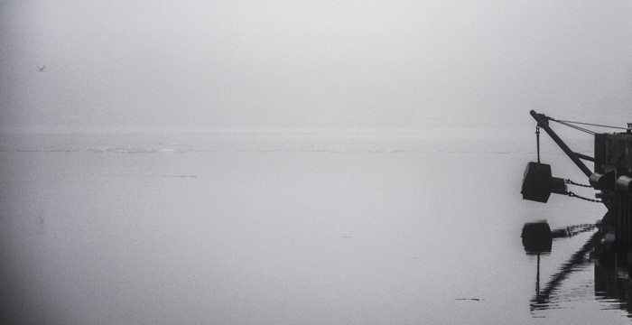 Misty harbor with a crane and a bird