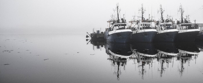 Fishing boats docked in a foggy harbor with reflections