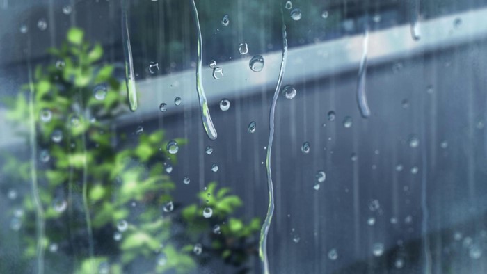Raindrops on a window with a plant