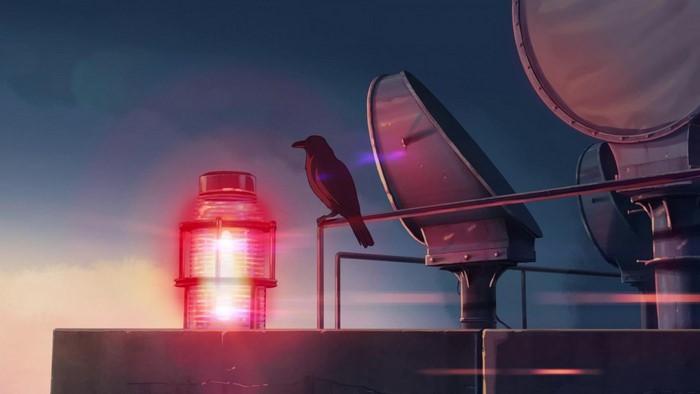 Crow on a platform with a red light and satellite dish