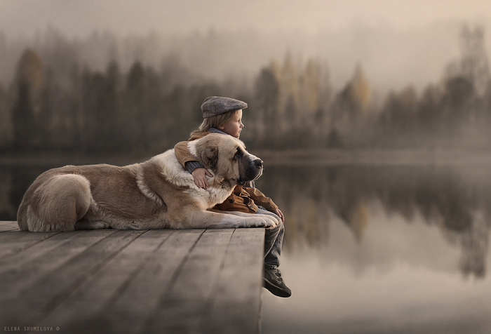 Child hugging a large dog on a wooden pier by a lake