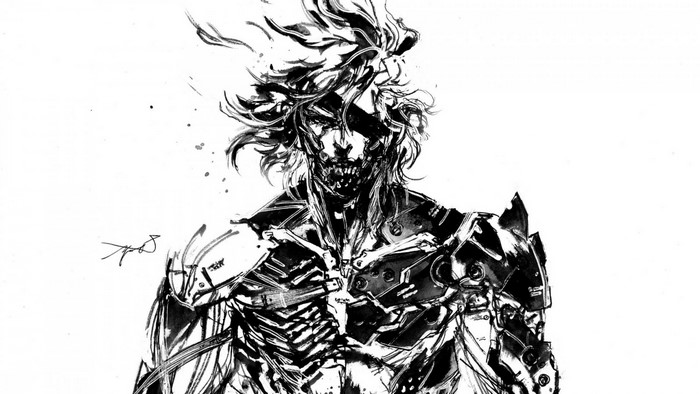 Raiden from Metal Gear Rising Revengeance