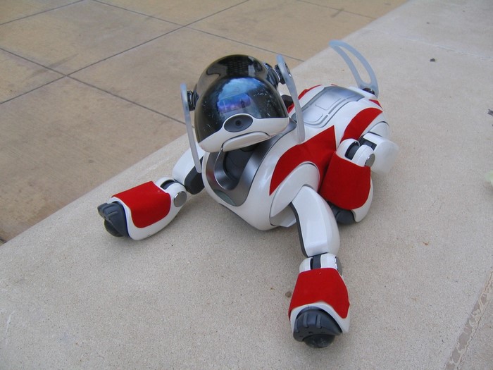 White and red AIBO robot dog lying down