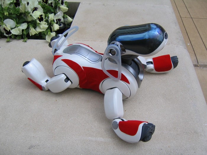 Sony AIBO robot dog lying on stone patio