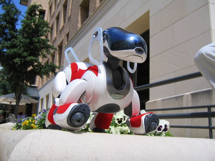 Sony AIBO robot dog on a ledge