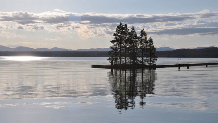 Island with trees in a lake at sunset
