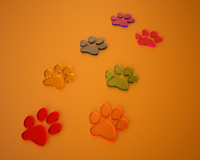 Colorful Paw Prints on Orange Background