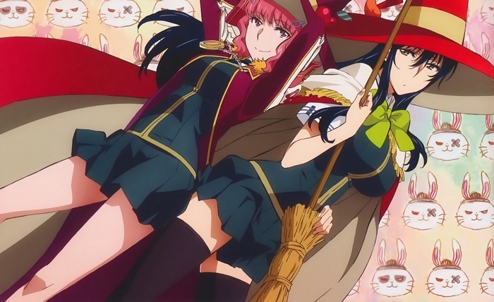 Two witches with brooms and hats