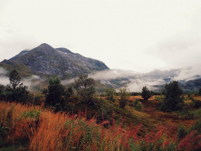 Misty mountain landscape with autumn foliage