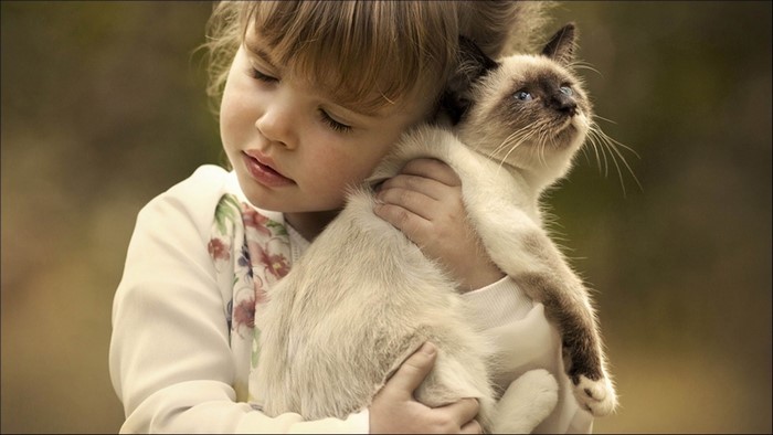 Girl hugging a Siamese cat
