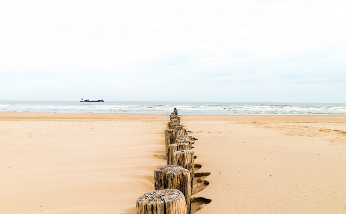 Beach with wooden posts and a ship on the horizon