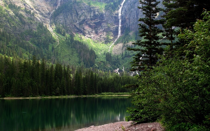 Lake and Waterfall in a Mountainous Forest