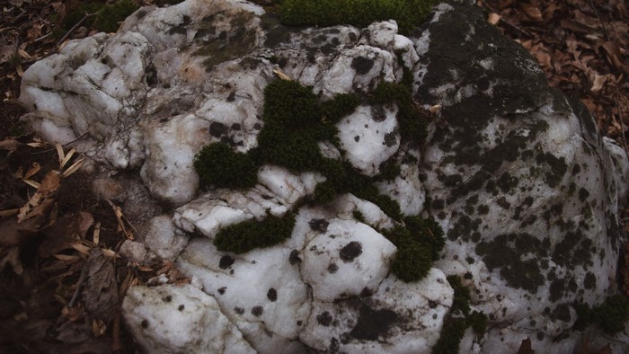 Mossy rock with white quartz and dark spots in forest
