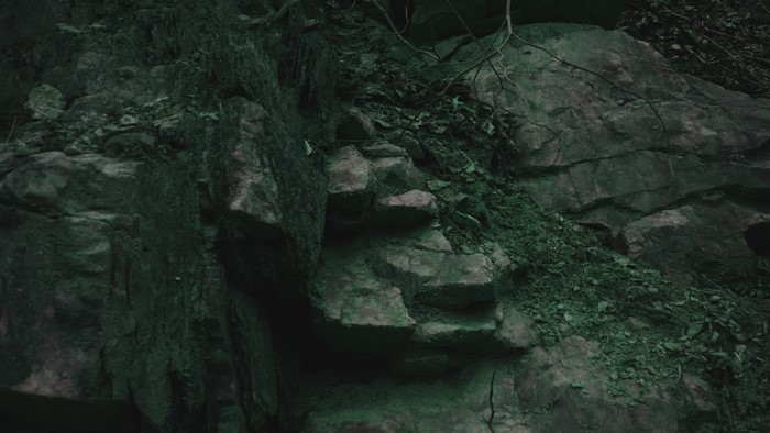 Rocky cliff face with moss and vines