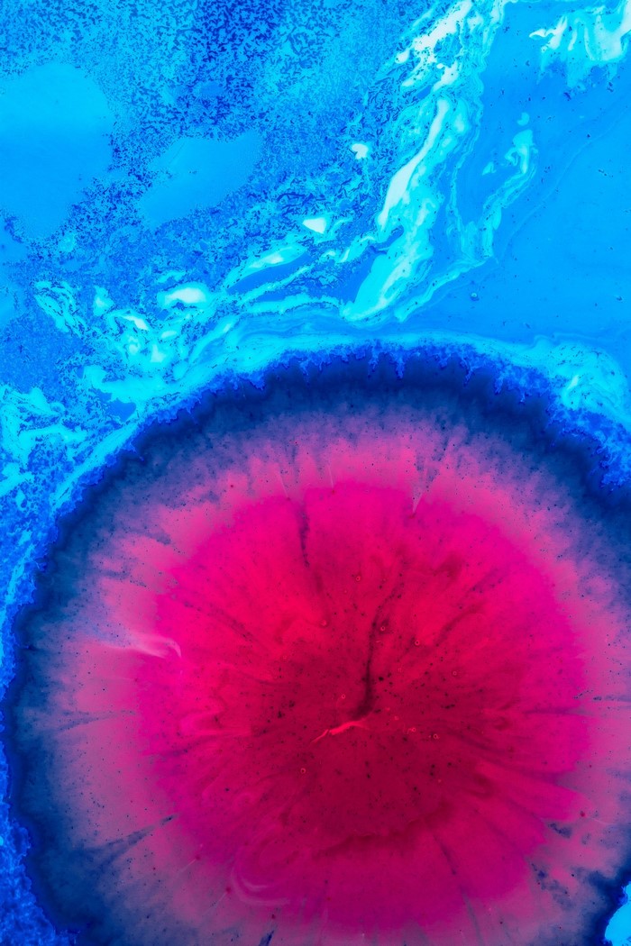 Abstract macro shot of pink and blue ink in water