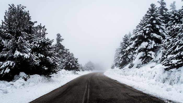 Snowy road through a foggy winter forest