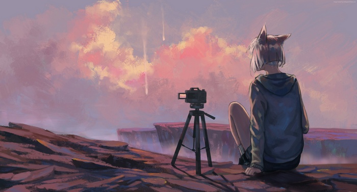Anime girl with cat ears watching meteor shower