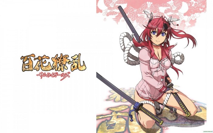 Hyakka Ryouran Samurai Girls Yagyuu Juubei