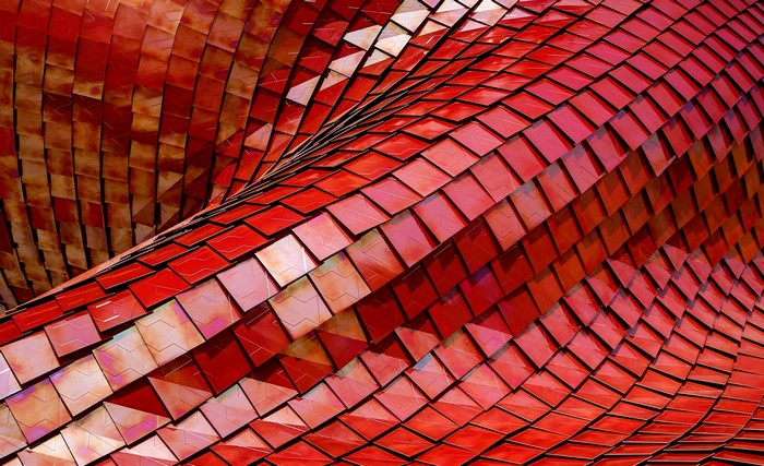 Red metallic scales forming a curved surface