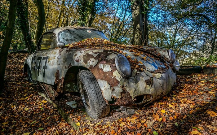 Abandoned Porsche car in a forest during autumn