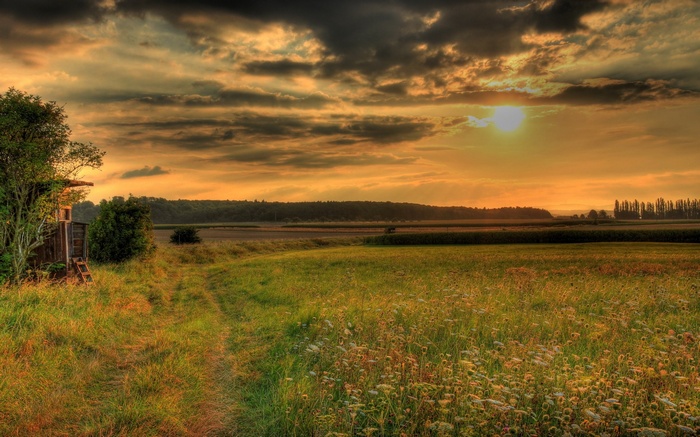 Sunset over a rural field with a wooden structure