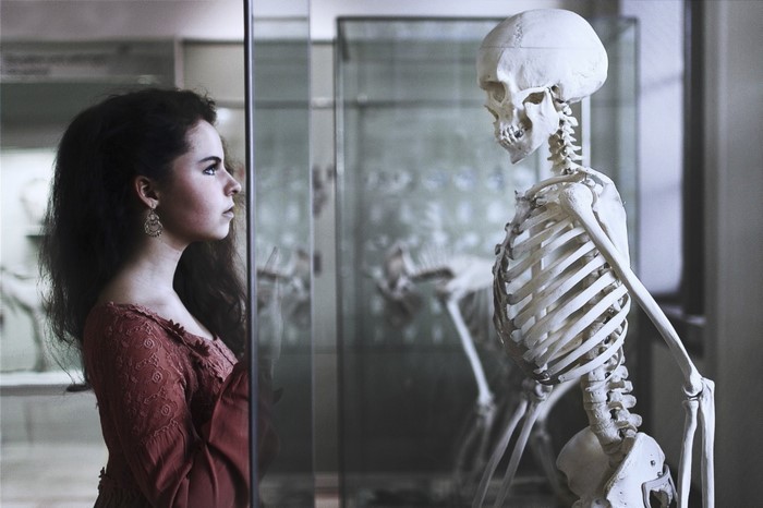 Woman looking at a human skeleton in a museum