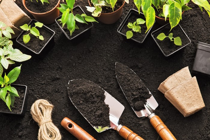 Gardening tools and plants on soil