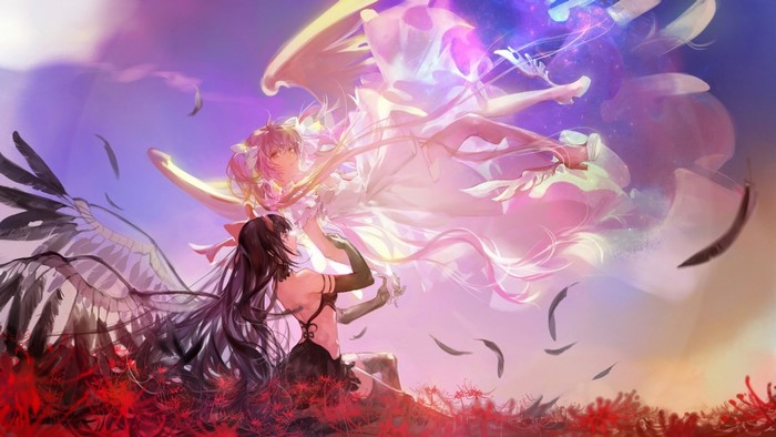 Akemi Homura and Kaname Madoka from Mahou Shoujo Madoka Magica