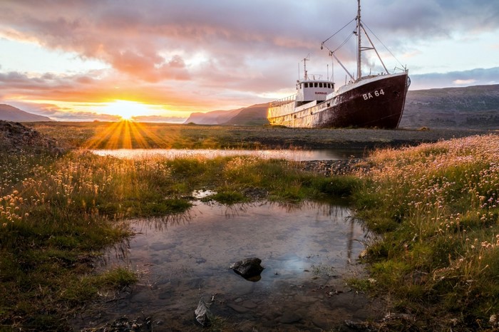Shipwreck on a grassy coast at sunrise