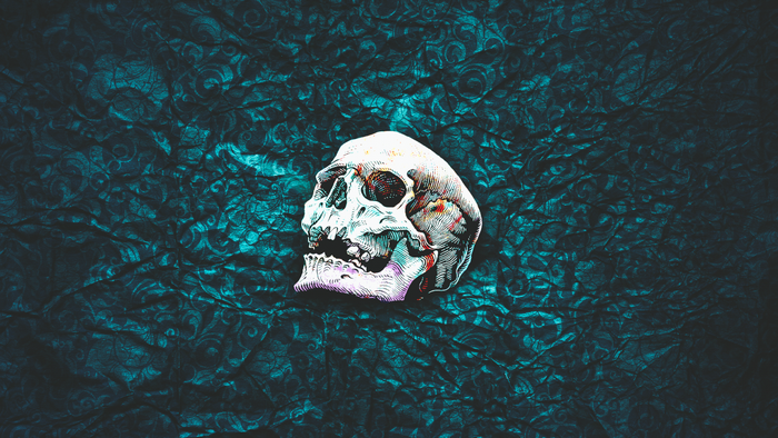 Skull illustration on a dark patterned background