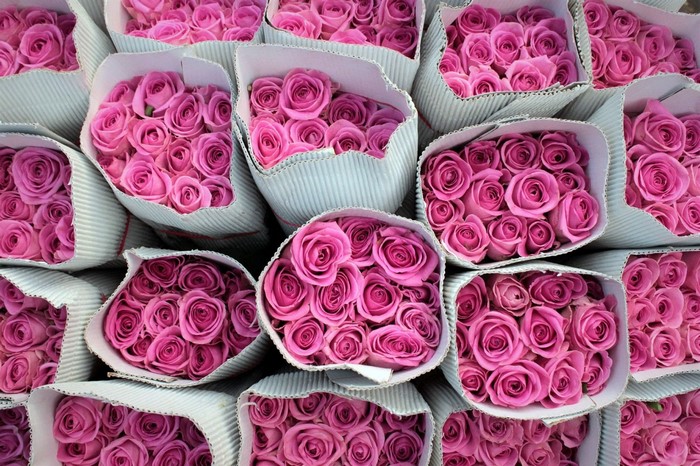 Bouquets of pink roses in cardboard packaging