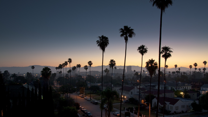 Palm trees at dusk over Los Angeles cityscape
