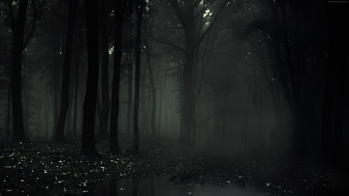 4K Slender Man Forest