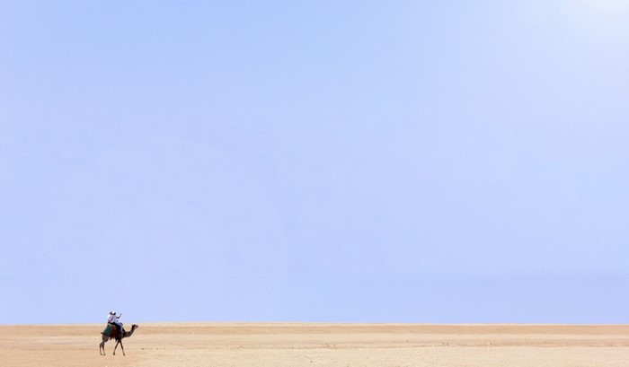 Camel rider in the desert under a clear sky