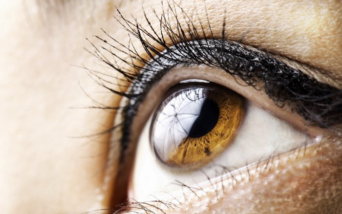 Closeup of Brown Eye with Eyelash Detail