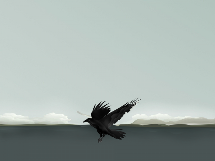 A black bird in flight over water and mountains