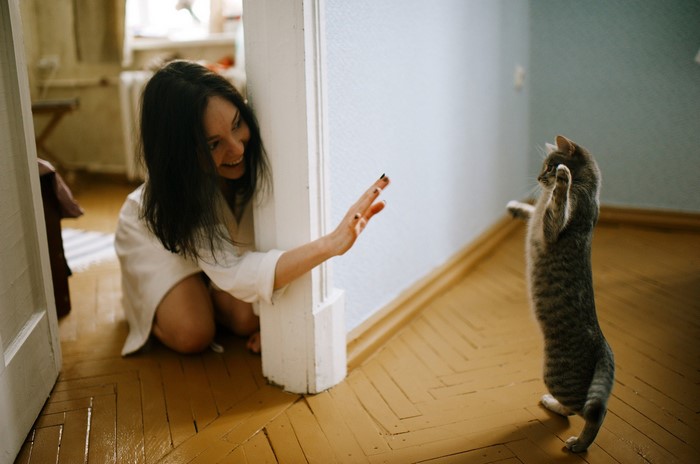 Woman playing with a cat