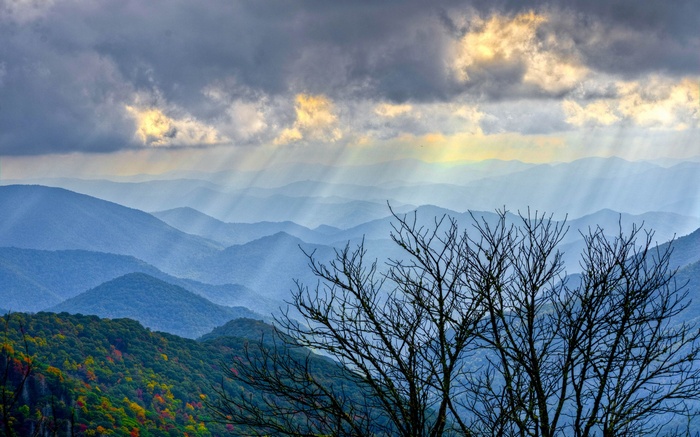 Mountain layers with sunbeams and bare trees