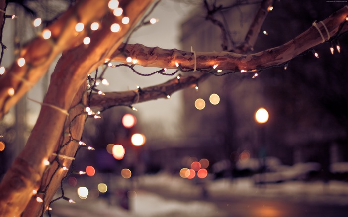 Tree branches with Christmas lights in winter 4K