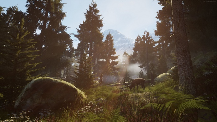 Vigor 4K screenshot