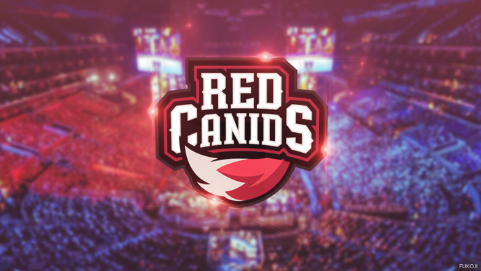 Red Canids esports logo in a stadium